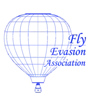 Fly Evassion 012 trans mini80
